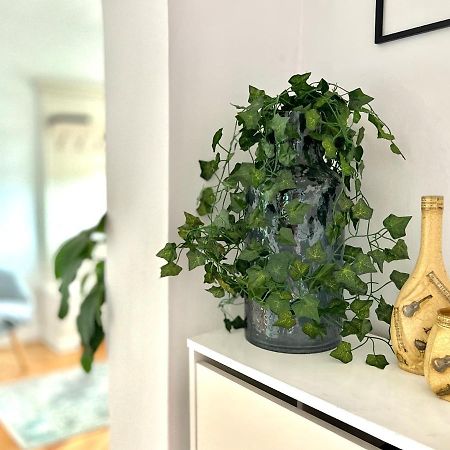 Travellers Apartment Kaloşvar Dış mekan fotoğraf