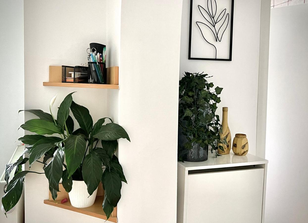 Travellers Apartment Kaloşvar Dış mekan fotoğraf