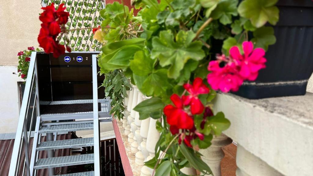 Travellers Apartment Kaloşvar Dış mekan fotoğraf